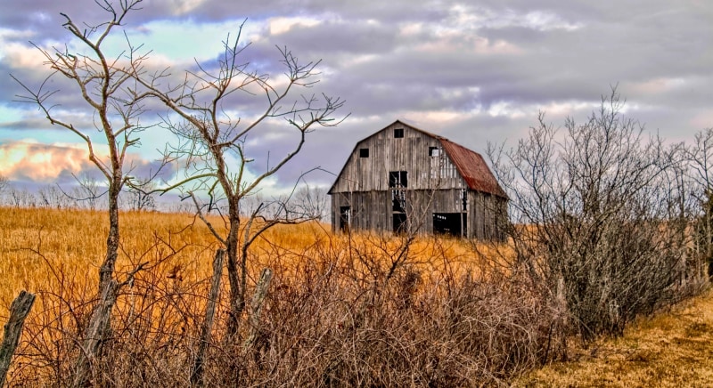 Newton County Barn by Jay McDonald