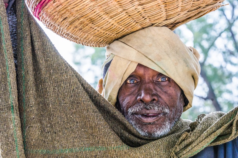 Off to Market by Jay McDonald