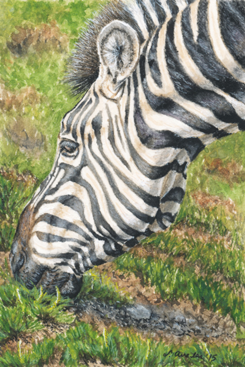 Zebra by Test Artist, Image 2.