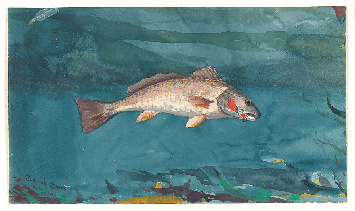 Channel Bass by Homer Winslow, Image 1.
