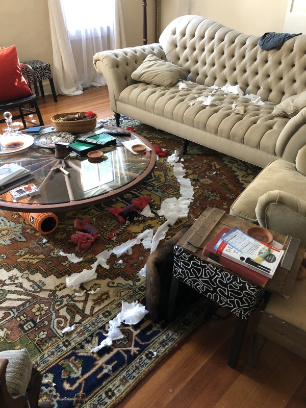 currency test by christina+staging