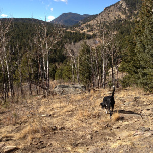 Mira's First Hike by John Feustel  Image: Meadow