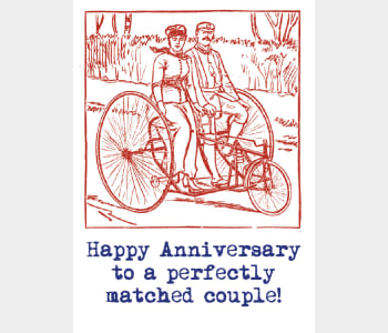 Happy Anniversary to a perfectly matched couple