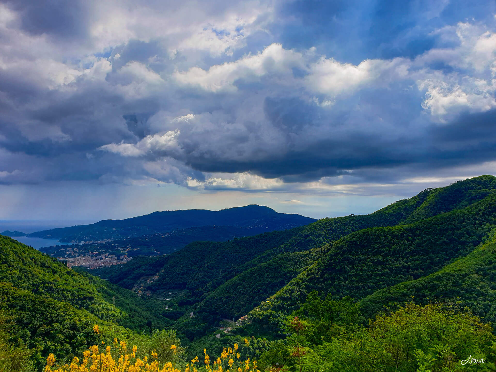montallegro.25-06-2020
