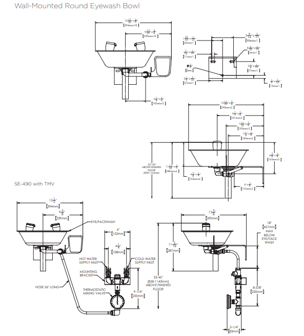 Speakman SE-582 Eyewash Wall Mounted