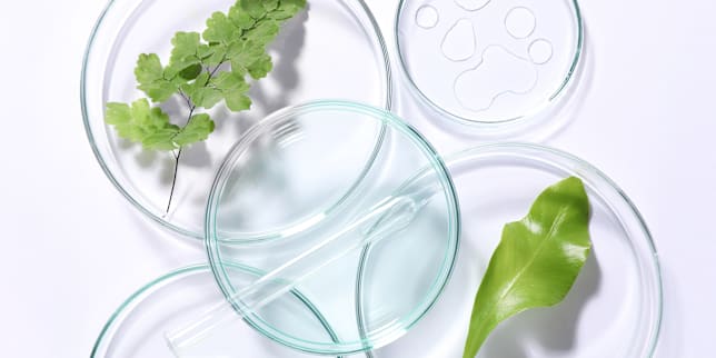 Principe actif complexe à 9 plantes