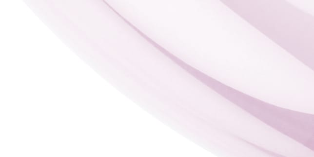 Beste Preis-Leistung