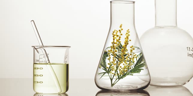 Grüne Weltkugel aus Gras, umgeben von Holzscheiben mit Symbolen zu Nachhaltigkeit, Recycling, CO₂-Reduktion und erneuerbaren Energien.