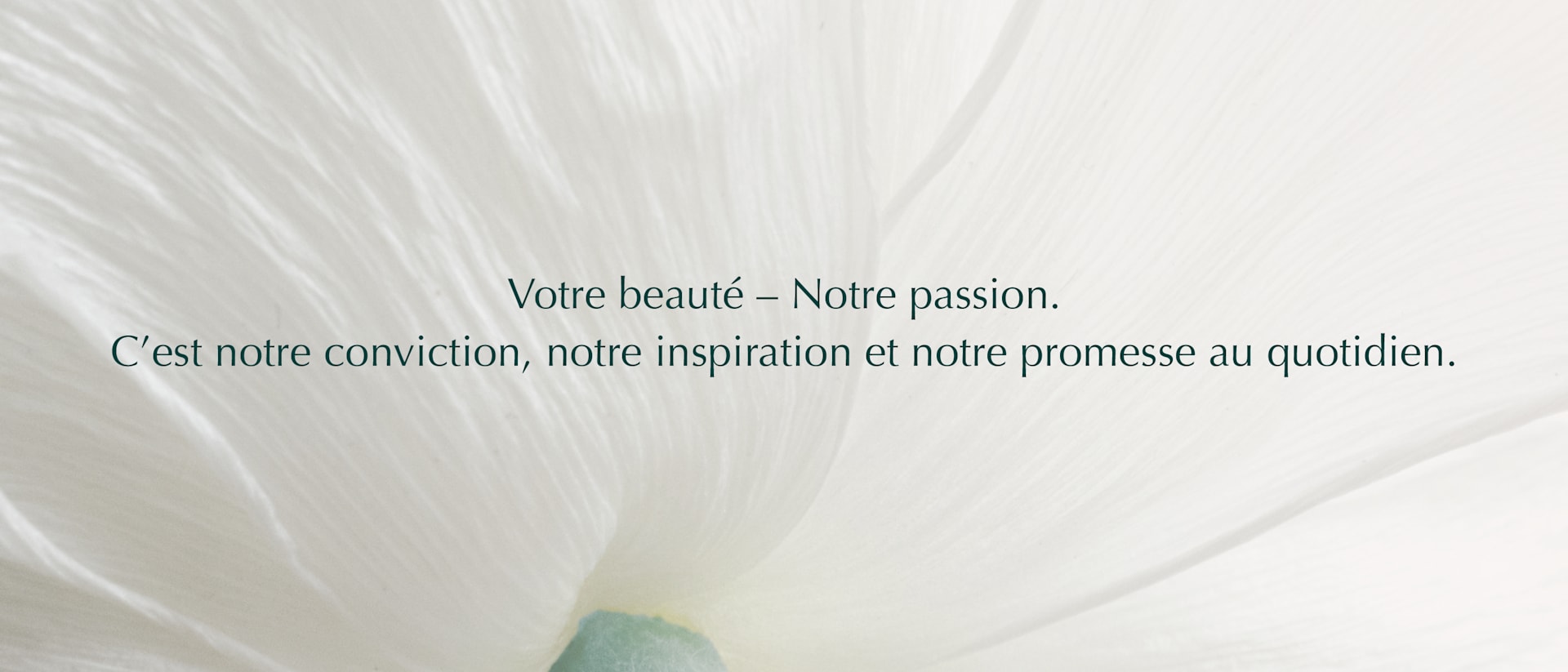 Vous êtes belle. Et cela mérite d’être célébré – avec un nouveau look et une nouvelle sensation.