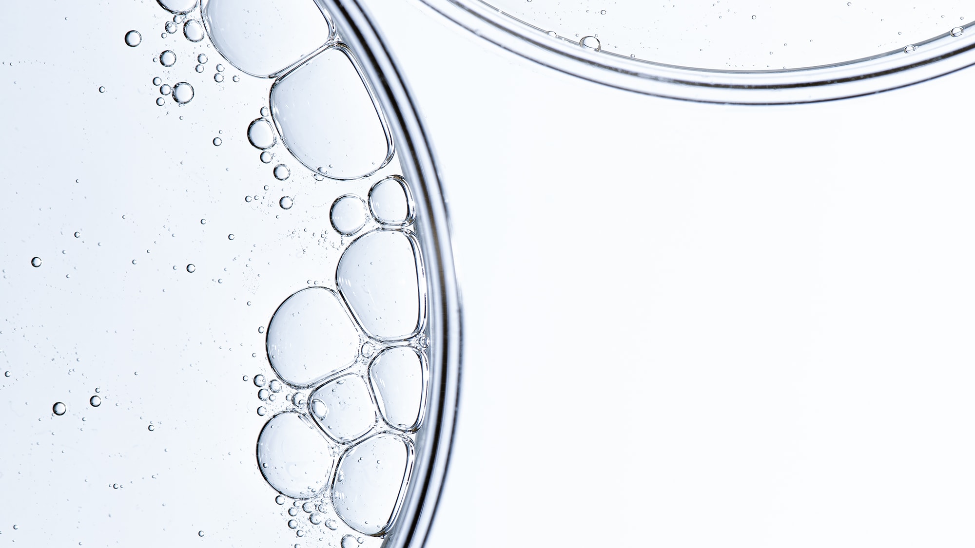 Leitwirkstoff Biotin