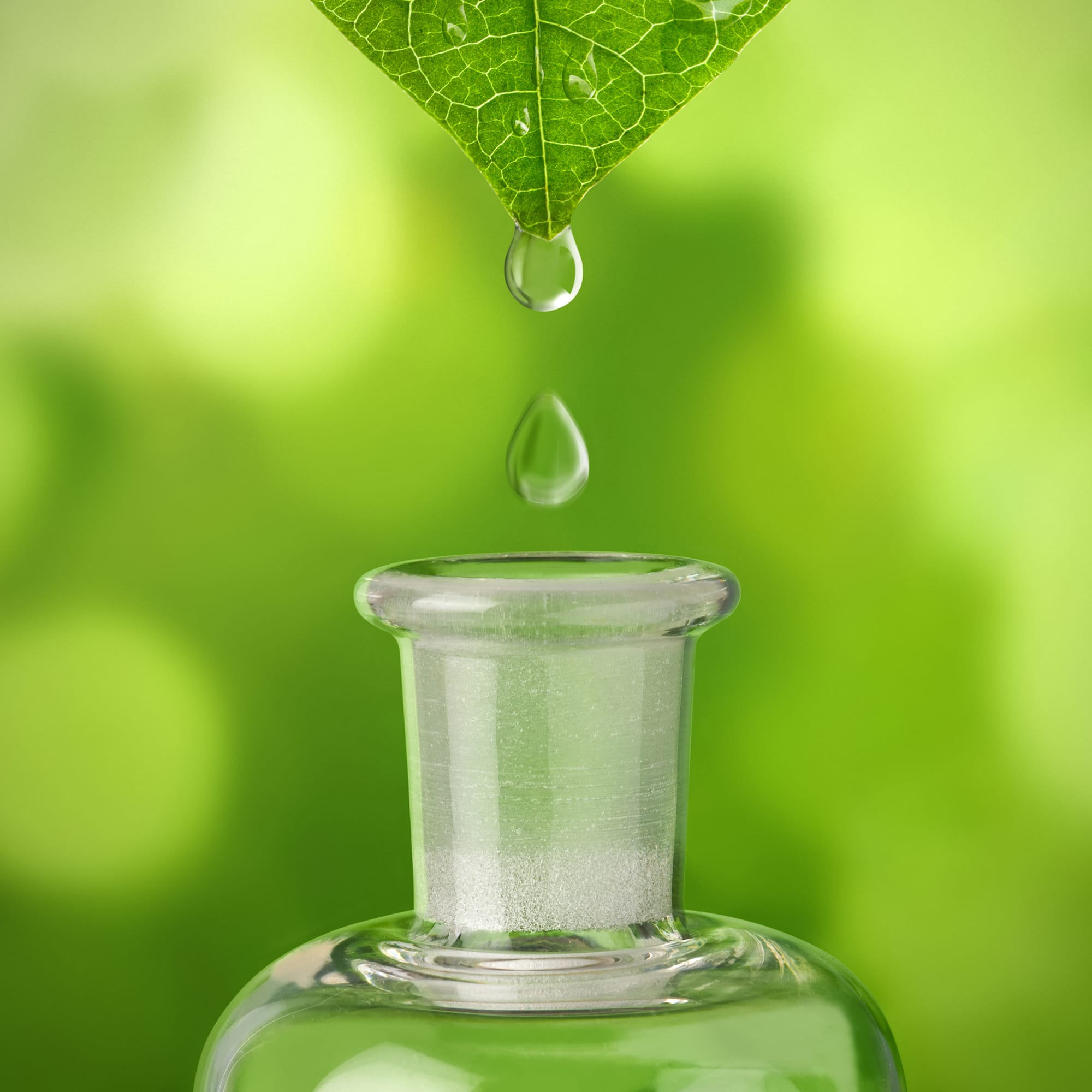 Bild von Wassertropfen mit grünem Hintergrund