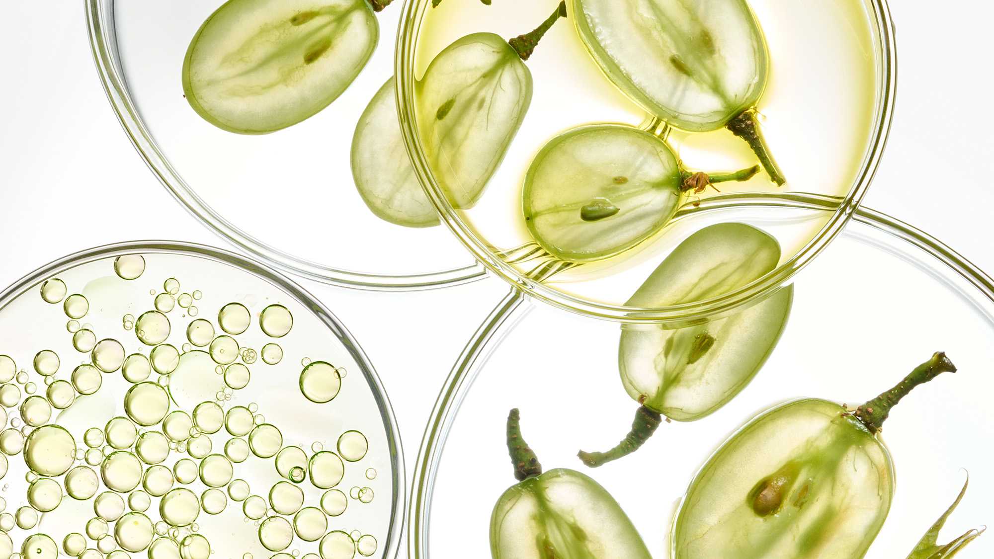 Texture de sérum ou d’huile de soin avec capsules vertes dans des coupelles transparentes, liquide jaunâtre contenant des perles d’actifs.