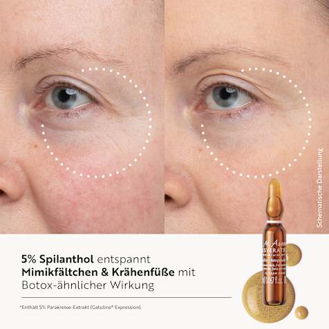 M. Asam RESVERATROL PREMIUM NT50 Intensivkur Ampullen