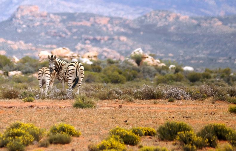 kagga kamma - Accommodation images