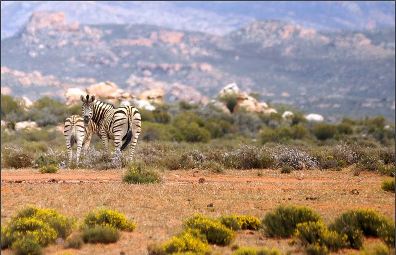 kagga kamma - Accommodation images