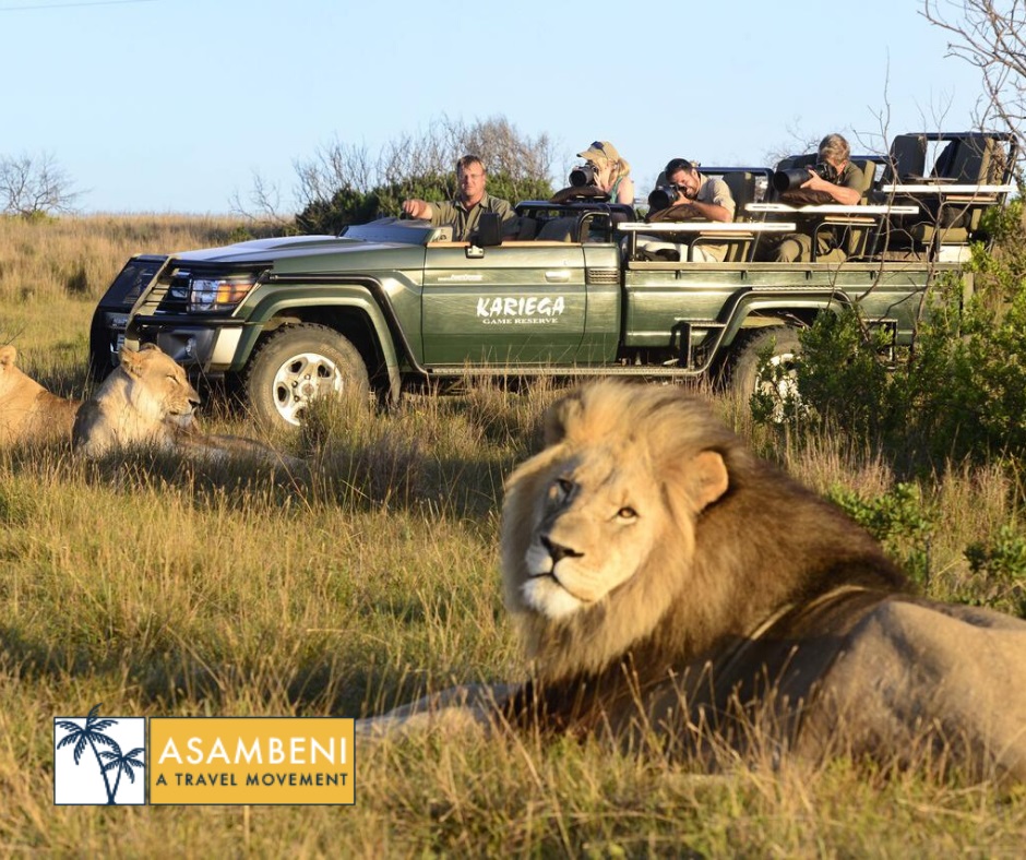 Kariega Game Reserve - Accommodation images