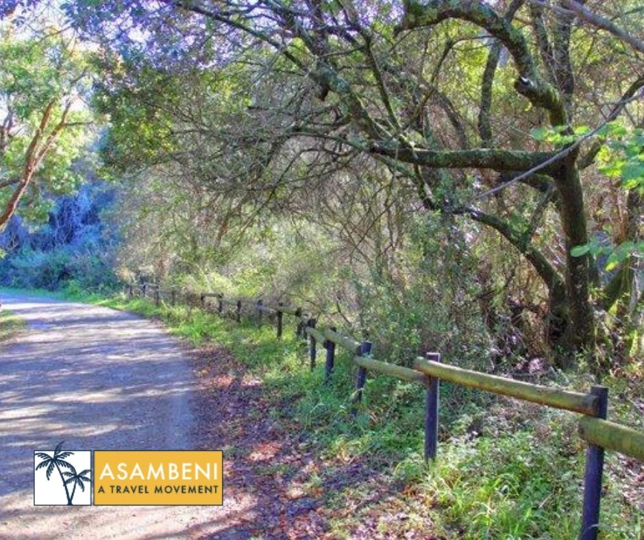 Alkantmooi Private Nature Reserve - Accommodation images