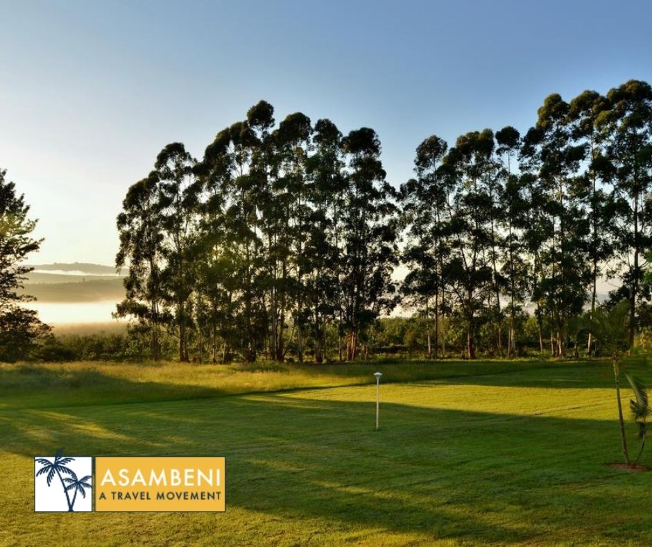 Premier Hotel The Winkler - Accommodation images