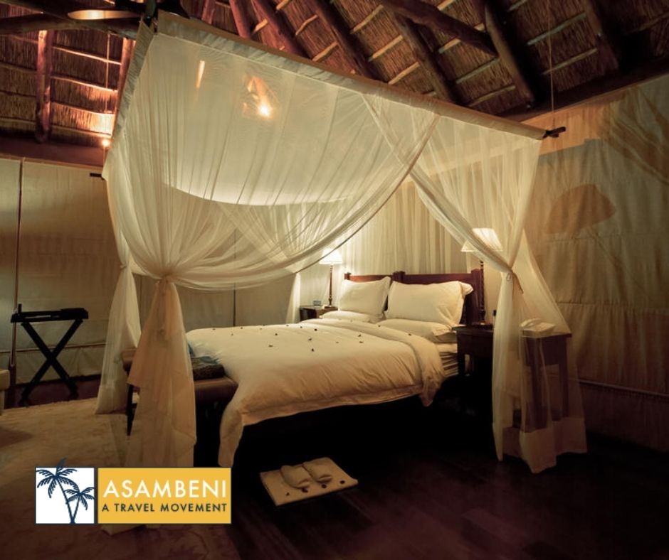 Pumba Private Game Reserve - Accommodation images