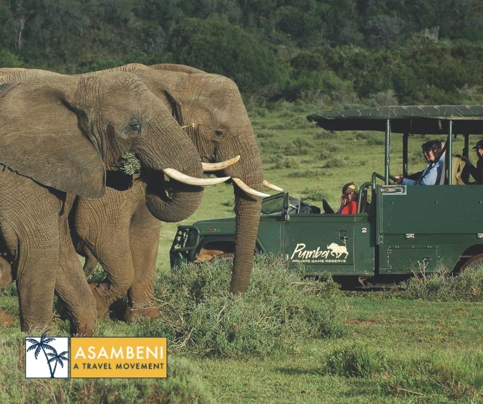 Pumba Private Game Reserve - Accommodation images