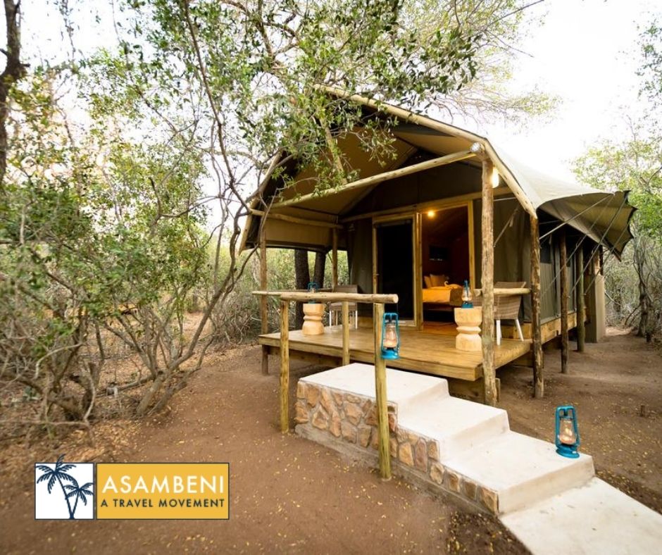 Bundox Safari Lodge - Accommodation images