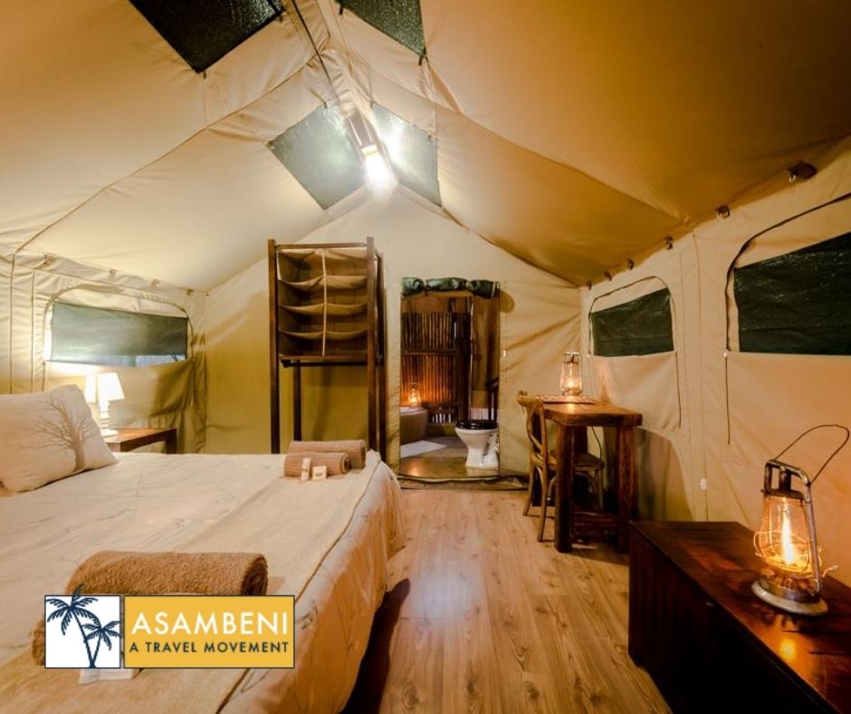 Bundox Safari Lodge - Accommodation images