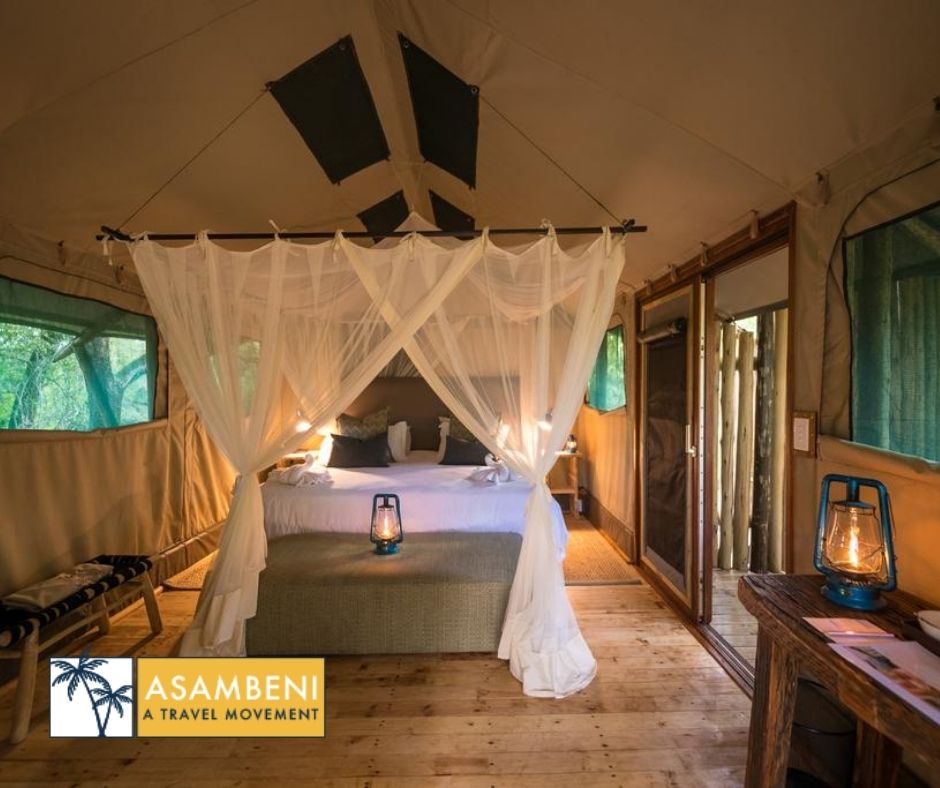 Bundox Safari Lodge - Accommodation images