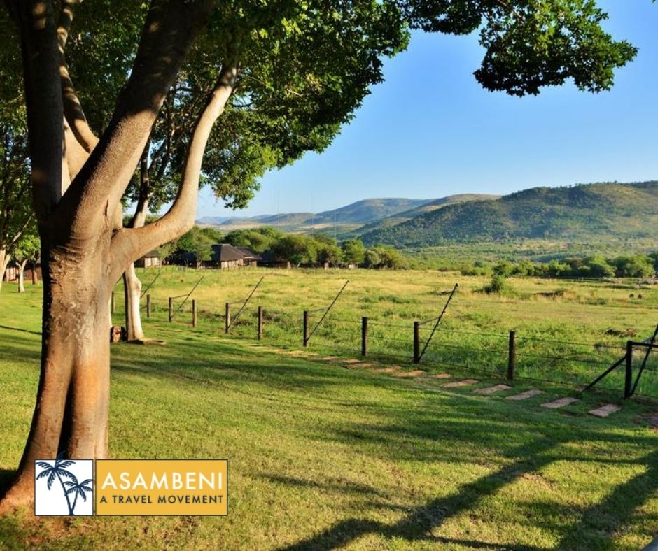 Bakubung Bush Lodge - Accommodation images