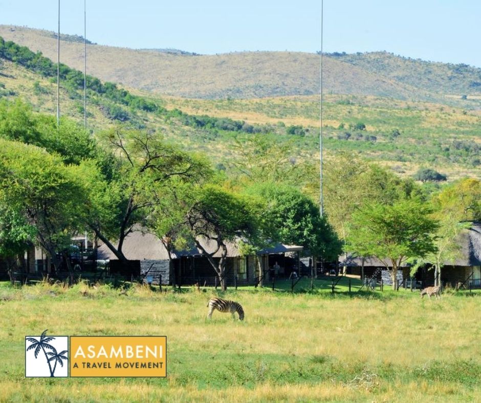 Bakubung Bush Lodge - Accommodation images