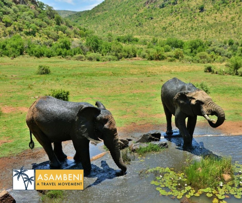 Kwa Maritane Lodge - Accommodation images