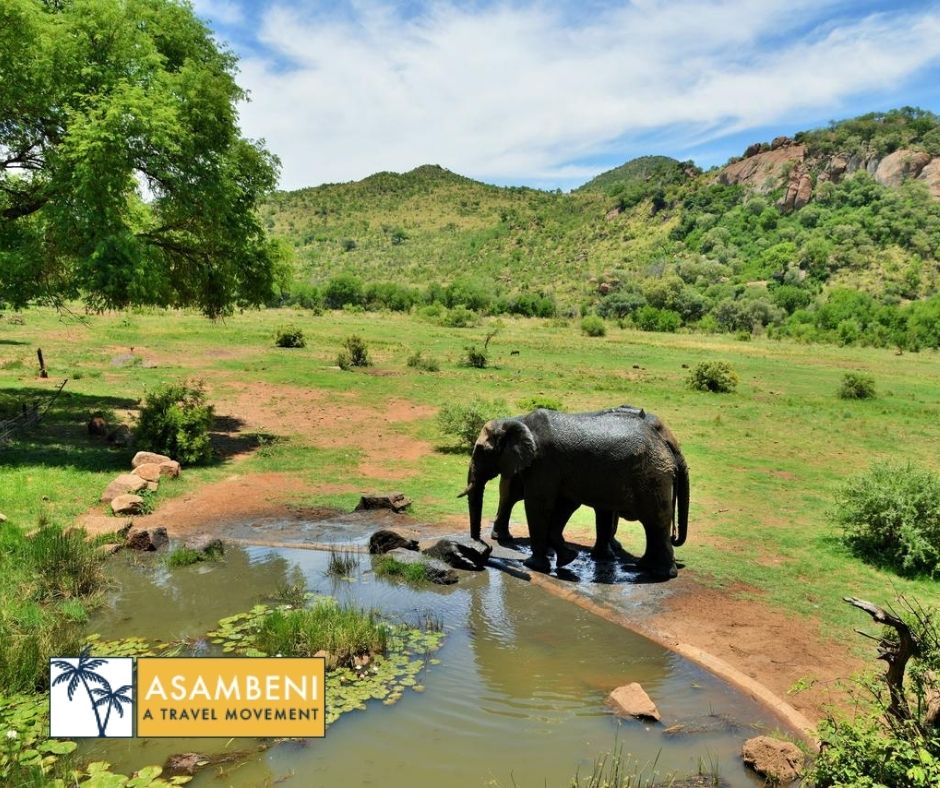 Kwa Maritane Lodge - Accommodation images