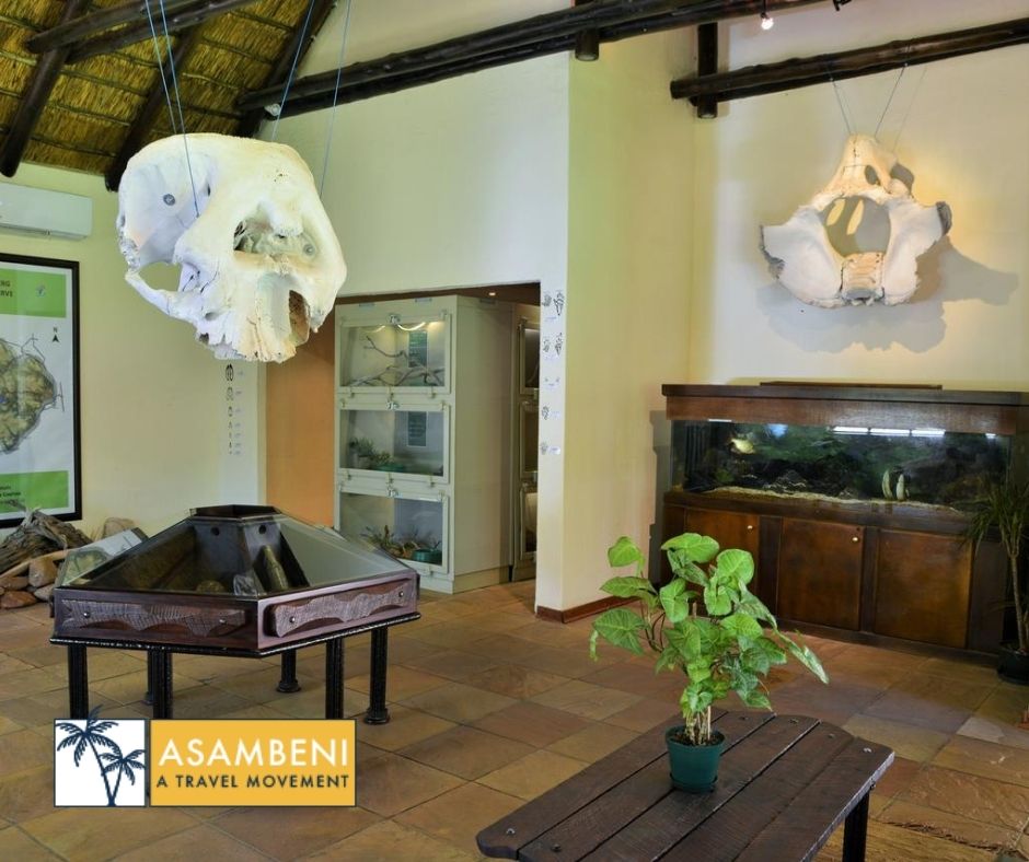 Kwa Maritane Lodge - Accommodation images