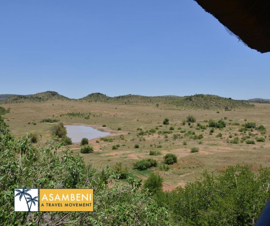 Tshukudu Bush Lodge - Accommodation images