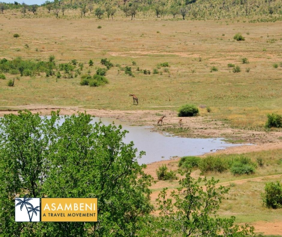 Tshukudu Bush Lodge - Accommodation images