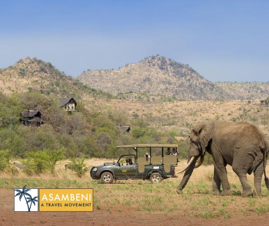 Tshukudu Bush Lodge - Accommodation images