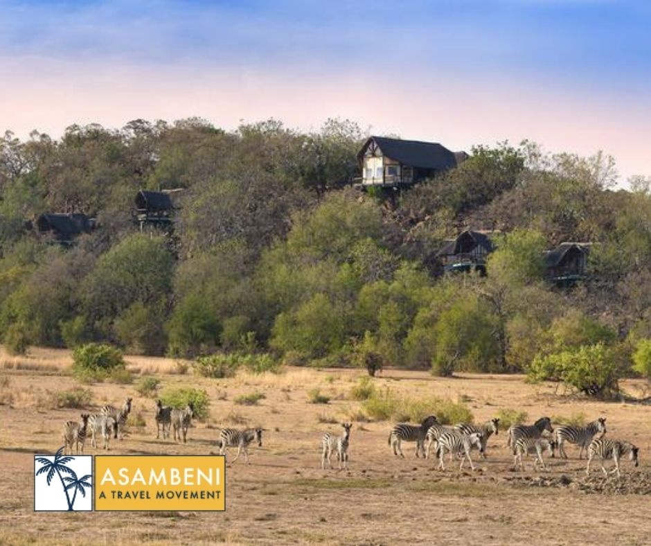 Tshukudu Bush Lodge - Accommodation images