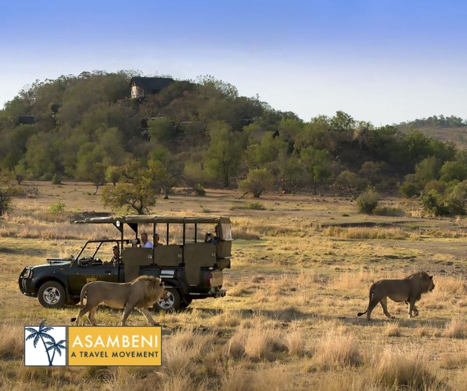 Tshukudu Bush Lodge - Accommodation images