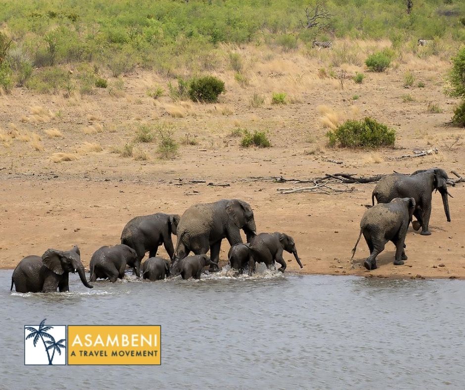 Tshukudu Bush Lodge - Accommodation images