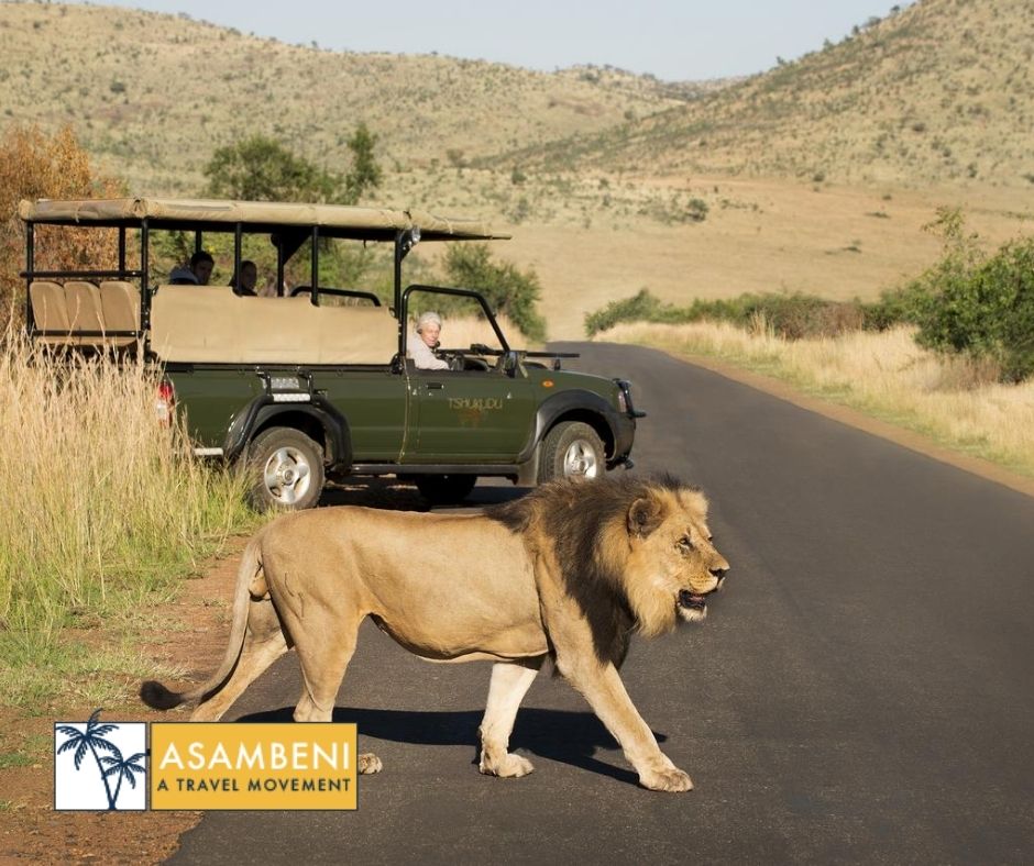 Tshukudu Bush Lodge - Accommodation images