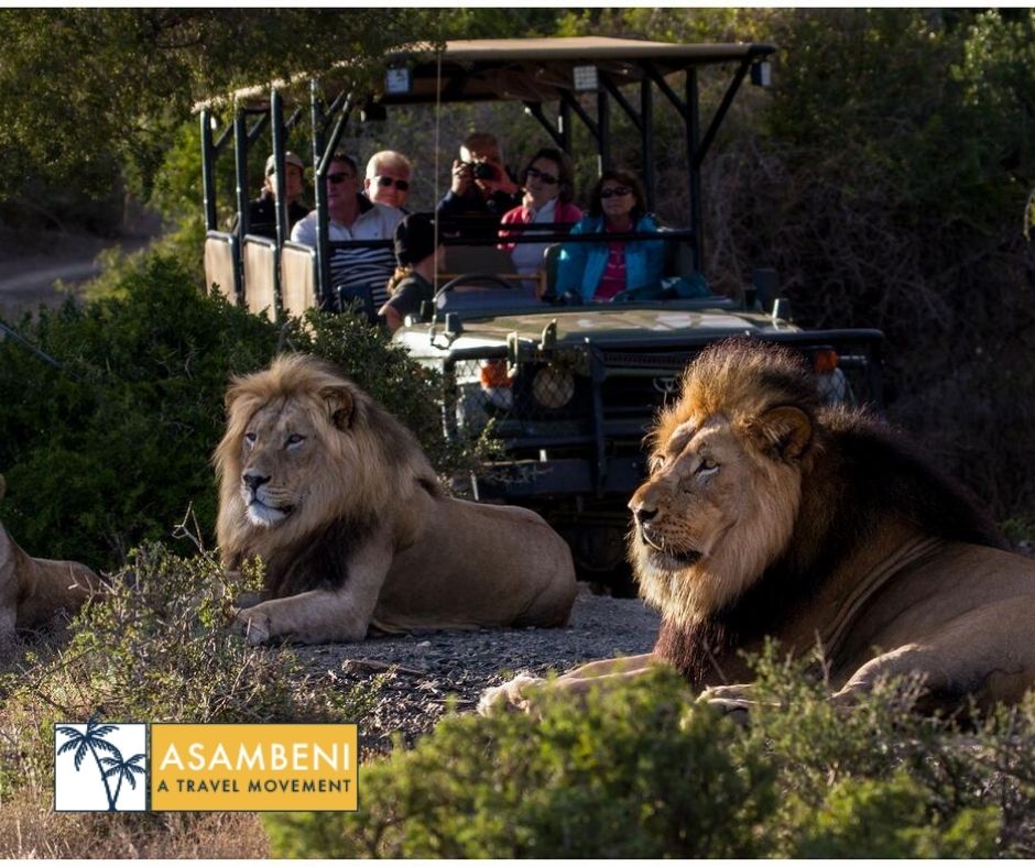 Kuzuko Lodge - Accommodation images