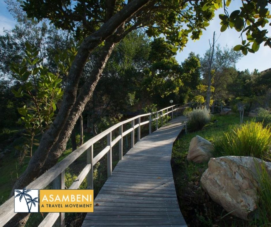 Pezula Resort, Hotel & Spa (Knysna) - Accommodation images