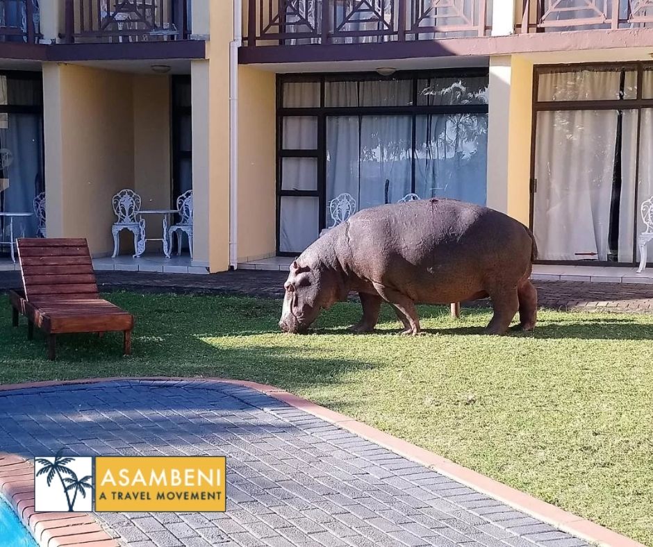Elephant Lake Hotel - Accommodation images