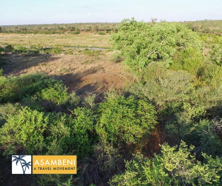 Kruger Riverside Lodge (Marloth Park) - Accommodation images