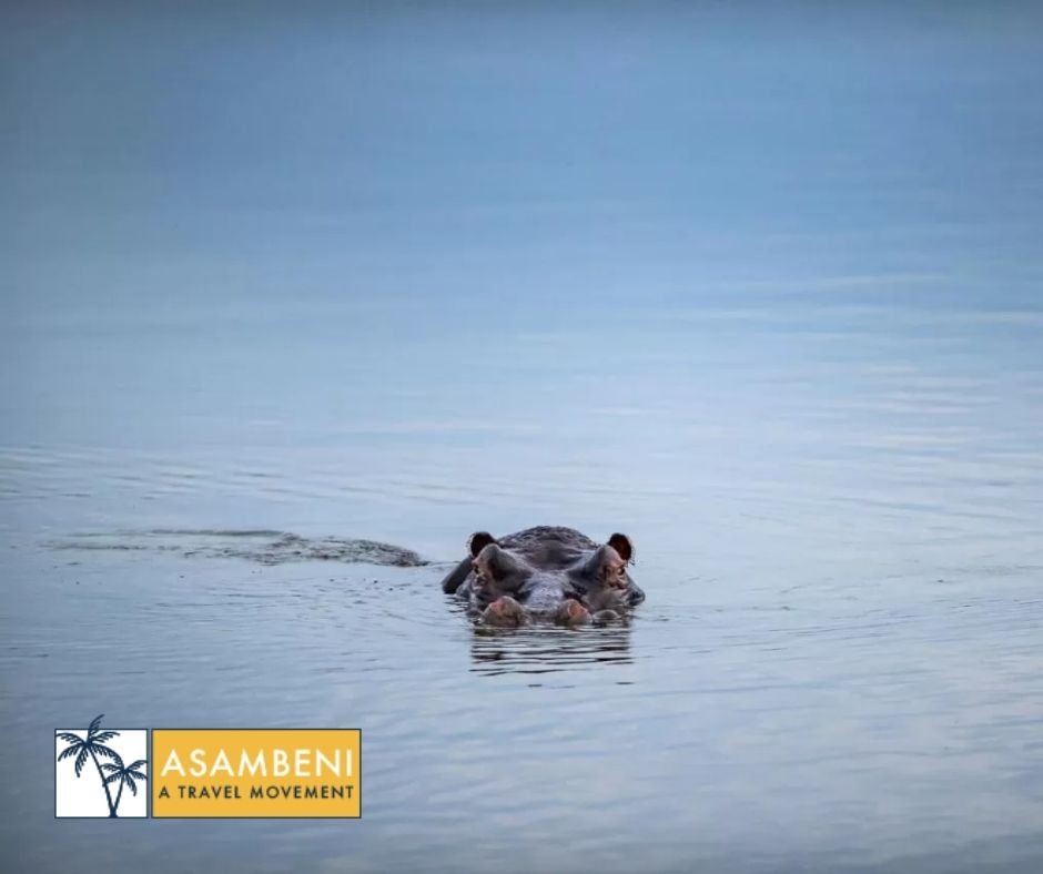 Simbavati River Lodge (Hoedspruit) - Accommodation images