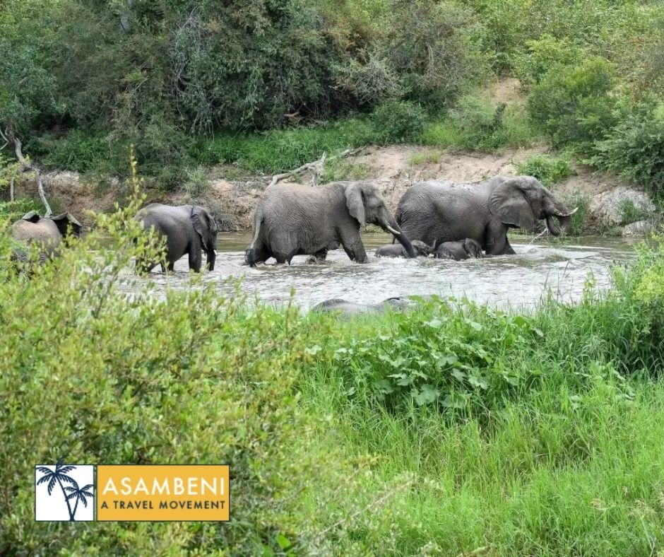Simbavati River Lodge (Hoedspruit) - Accommodation images