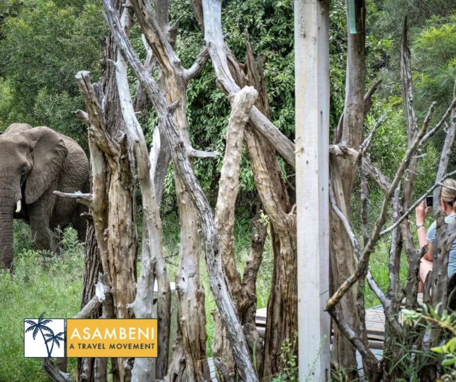 Simbavati River Lodge (Hoedspruit) - Accommodation images
