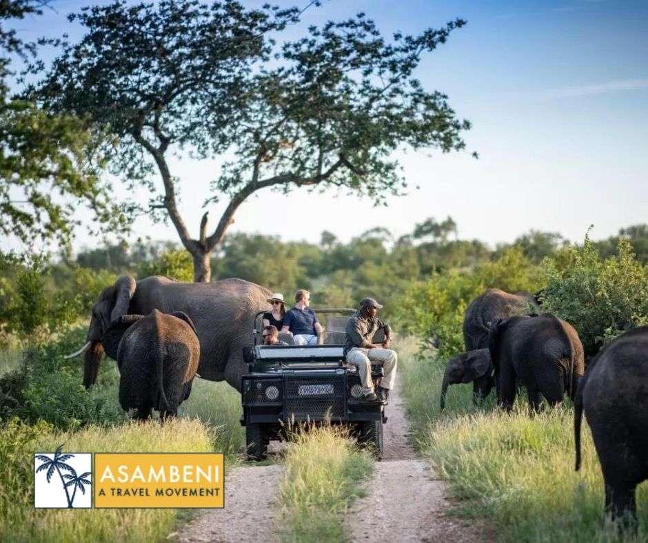 Simbavati River Lodge (Hoedspruit) - Accommodation images