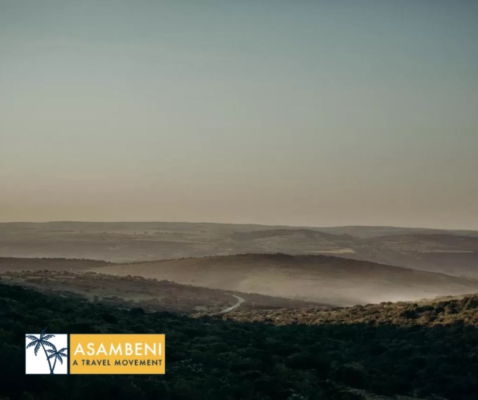Bukela Game Lodge (Amakhala Game Reserve) - Accommodation images