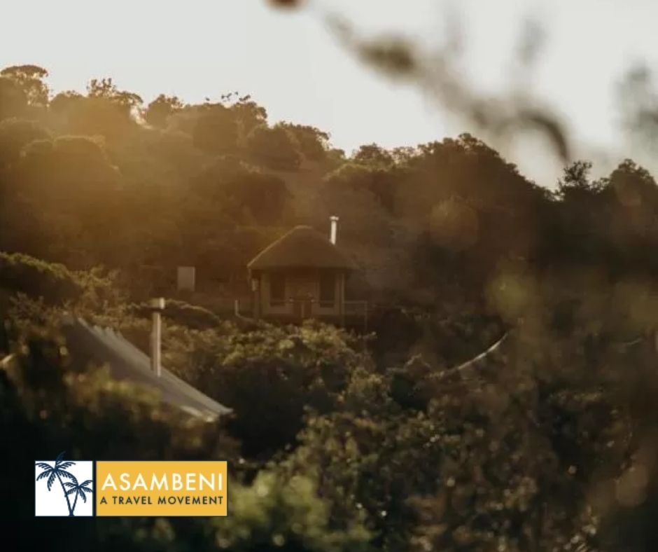 Bukela Game Lodge (Amakhala Game Reserve) - Accommodation images