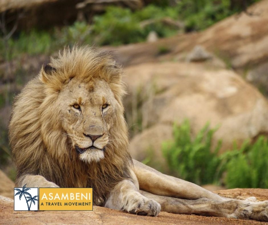 Nkomazi Game Reserve (Emanzana) - Accommodation images